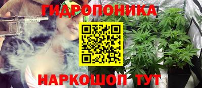 PSILOCYBIN Новозыбков