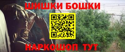 PSILOCYBIN Новозыбков