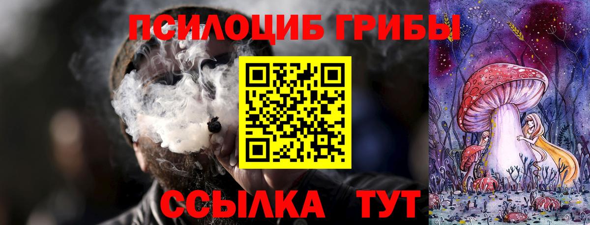 Новокуйбышевск  Галлюциногенные грибы Psilocybine cubensis  Вход с VPN 